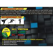 Proviz Muscle Active Stamina and Power Recommended Dosage