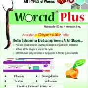 Flyer of Worcid Plus made by Wantura Laboratories